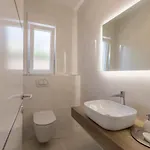 Luxurious Meri Villa *